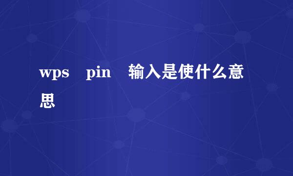 wps pin 输入是使什么意思