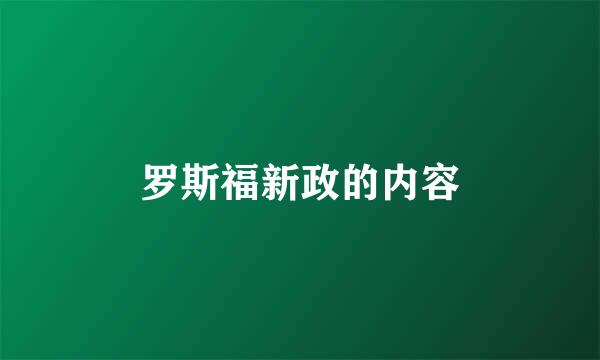 罗斯福新政的内容