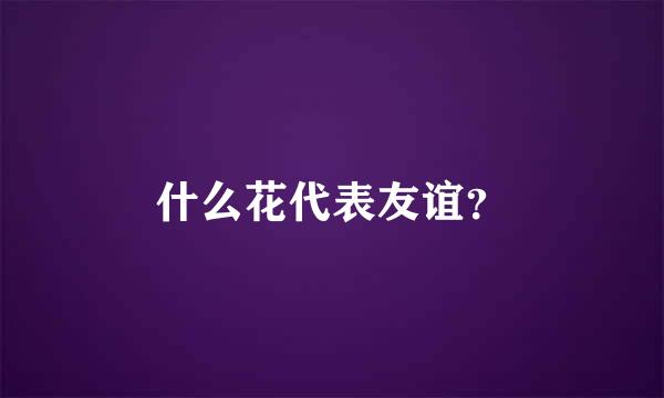 什么花代表友谊？