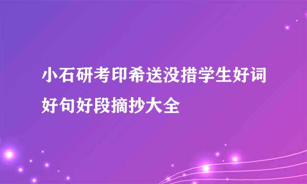 小石研考印希送没措学生好词好句好段摘抄大全