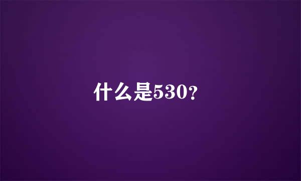 什么是530？