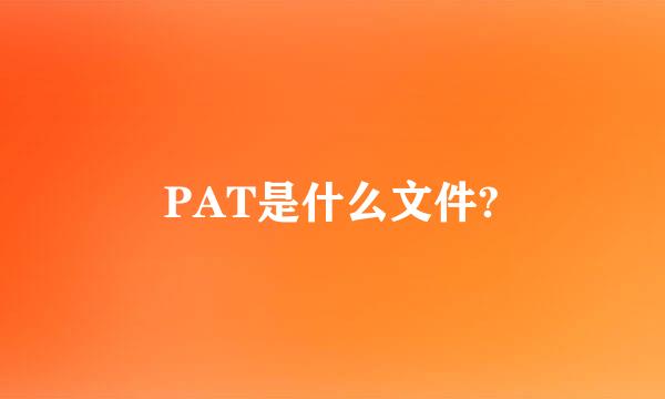 PAT是什么文件?