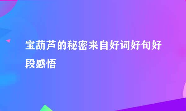 宝葫芦的秘密来自好词好句好段感悟