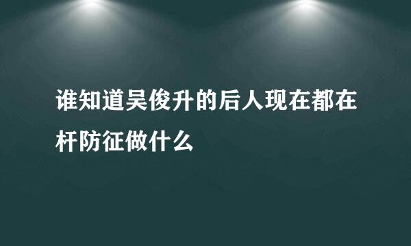 谁知道吴俊升的后人现在都在杆防征做什么