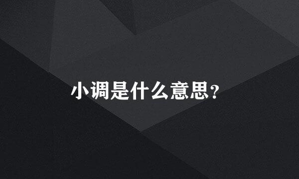 小调是什么意思？