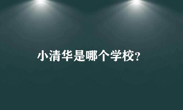 小清华是哪个学校？