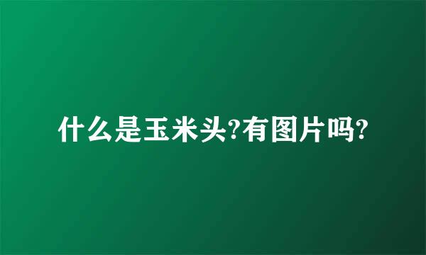 什么是玉米头?有图片吗?