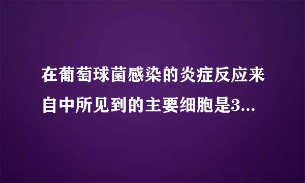 在葡萄球菌感染的炎症反应来自中所见到的主要细胞是360问答