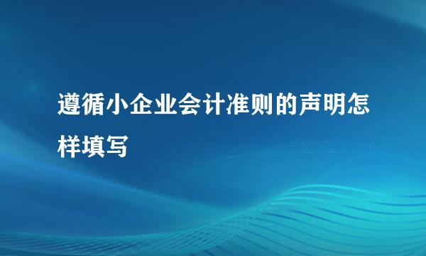 遵循小企业会计准则的声明怎样填写