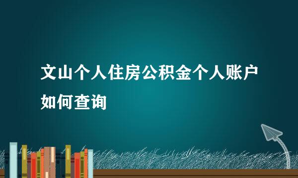 文山个人住房公积金个人账户如何查询