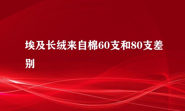 埃及长绒来自棉60支和80支差别