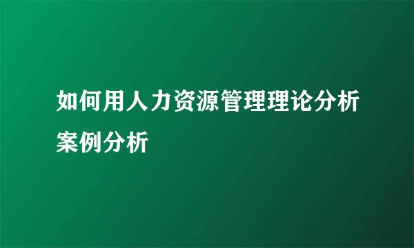 如何用人力资源管理理论分析案例分析