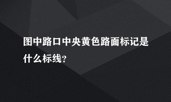 图中路口中央黄色路面标记是什么标线？