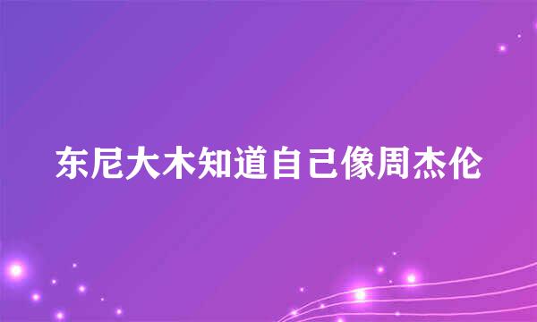 东尼大木知道自己像周杰伦