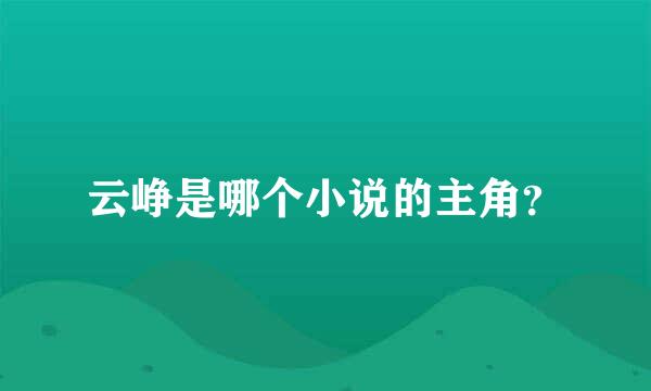 云峥是哪个小说的主角？