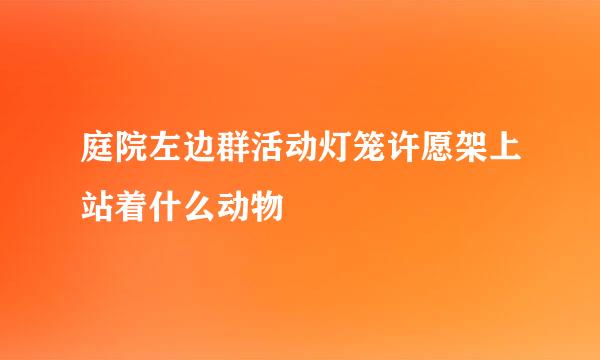 庭院左边群活动灯笼许愿架上站着什么动物