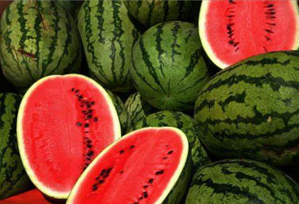 watermelon可数还是不可数来自?