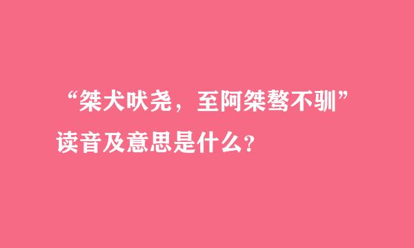 “桀犬吠尧，至阿桀骜不驯”读音及意思是什么？