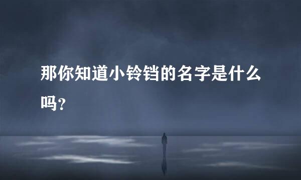 那你知道小铃铛的名字是什么吗？