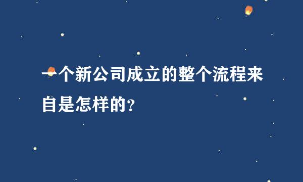 一个新公司成立的整个流程来自是怎样的？