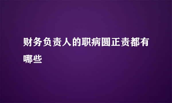 财务负责人的职病圆正责都有哪些