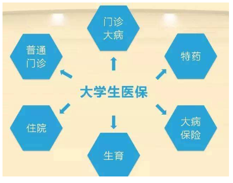 大学生医保报销范围?