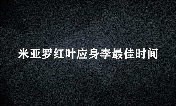 米亚罗红叶应身李最佳时间