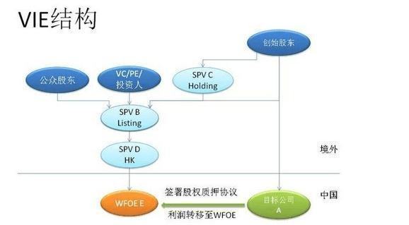 VIE 结构是什么？建立的过程中需要注意什么问题