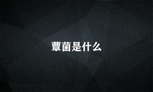 蕈菌是什么