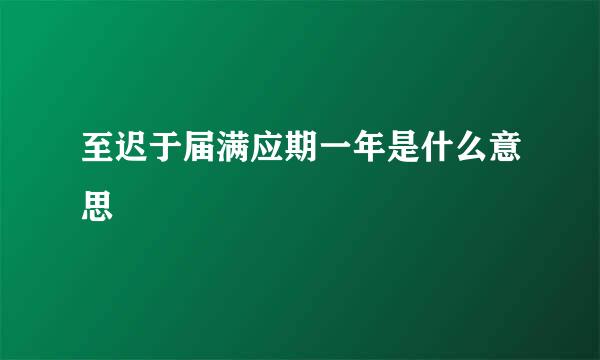 至迟于届满应期一年是什么意思