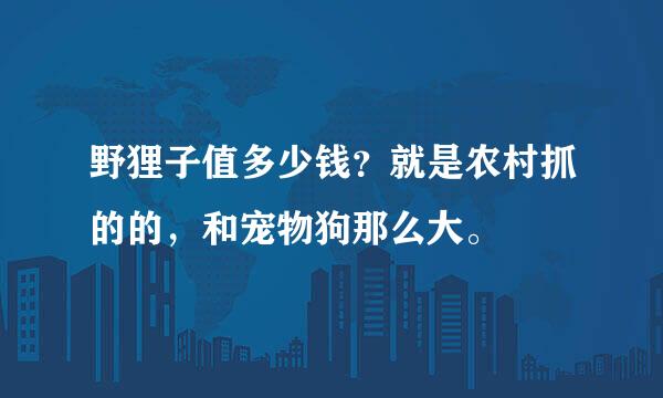 野狸子值多少钱？就是农村抓的的，和宠物狗那么大。