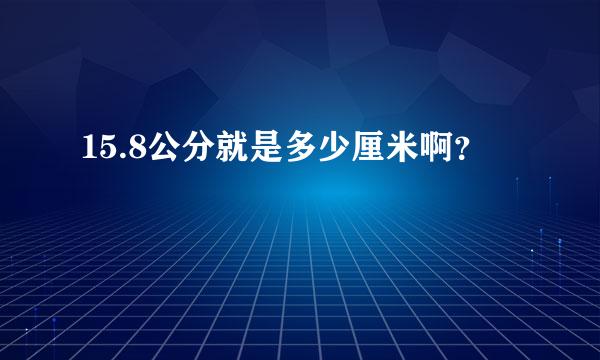 15.8公分就是多少厘米啊？