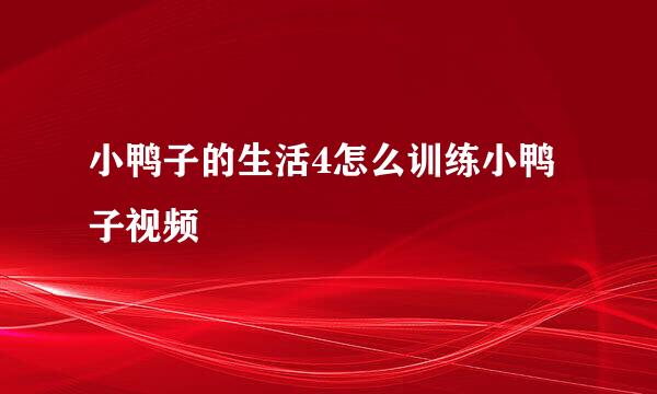 小鸭子的生活4怎么训练小鸭子视频