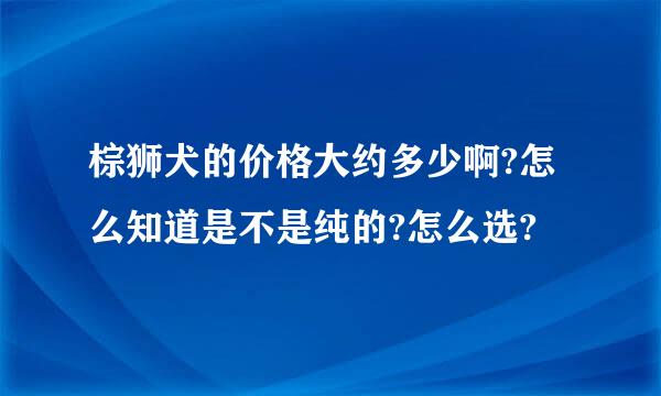 棕狮犬的价格大约多少啊?怎么知道是不是纯的?怎么选?