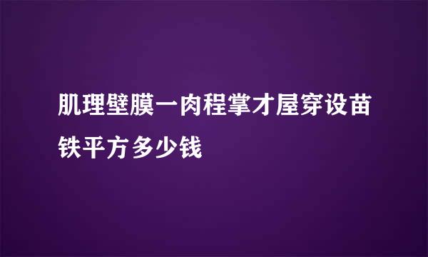 肌理壁膜一肉程掌才屋穿设苗铁平方多少钱