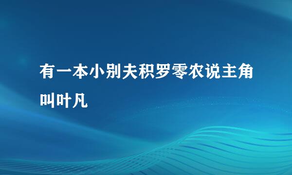 有一本小别夫积罗零农说主角叫叶凡