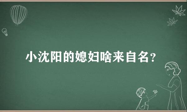 小沈阳的媳妇啥来自名？