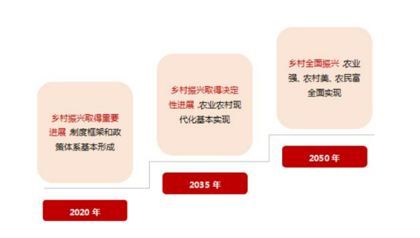 三步走战略的内容是什么?程河伟抗胜