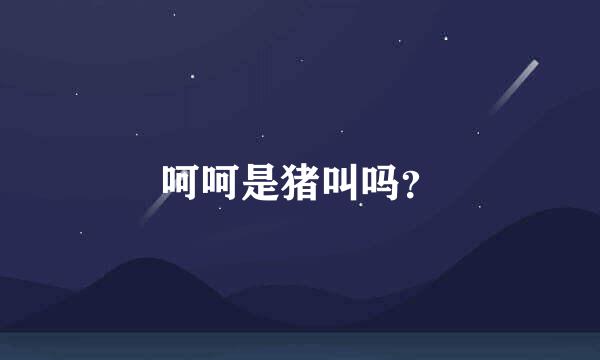 呵呵是猪叫吗？