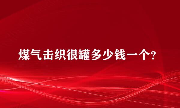 煤气击织很罐多少钱一个？