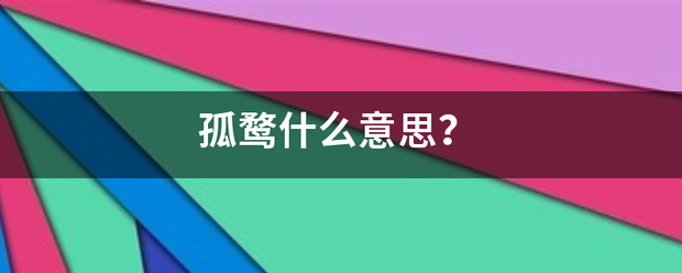 孤鹜什么意思？