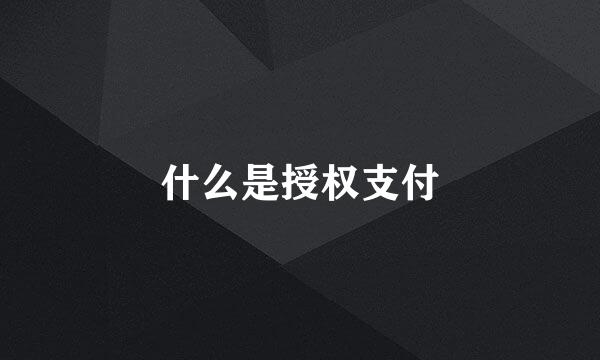 什么是授权支付