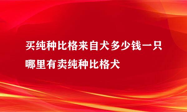 买纯种比格来自犬多少钱一只哪里有卖纯种比格犬