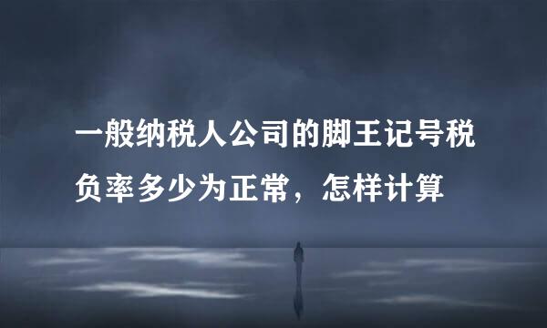 一般纳税人公司的脚王记号税负率多少为正常，怎样计算