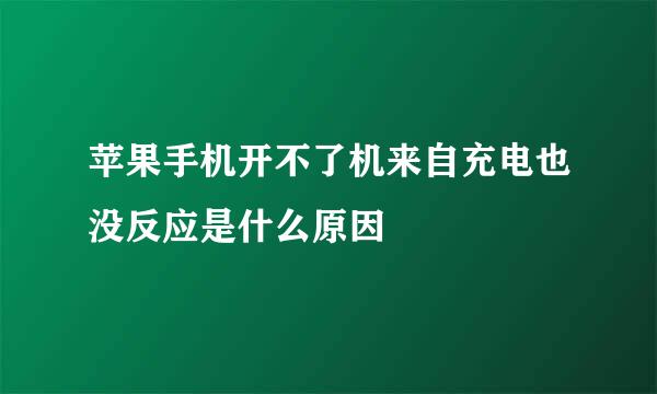 苹果手机开不了机来自充电也没反应是什么原因