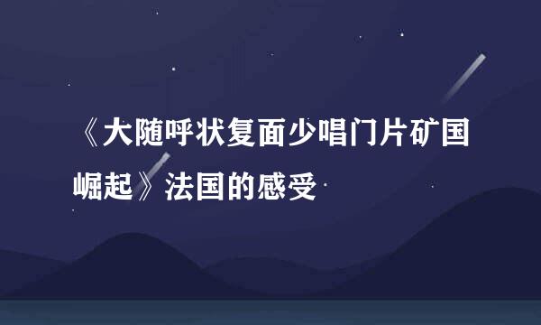 《大随呼状复面少唱门片矿国崛起》法国的感受