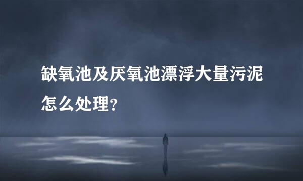 缺氧池及厌氧池漂浮大量污泥怎么处理？