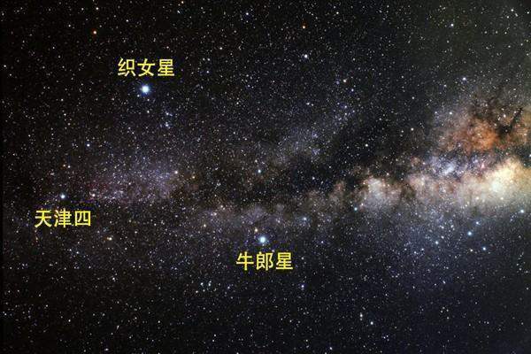 牛郎星在哪个位置