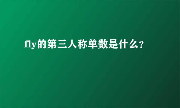 fly的第三人称单数是什么？