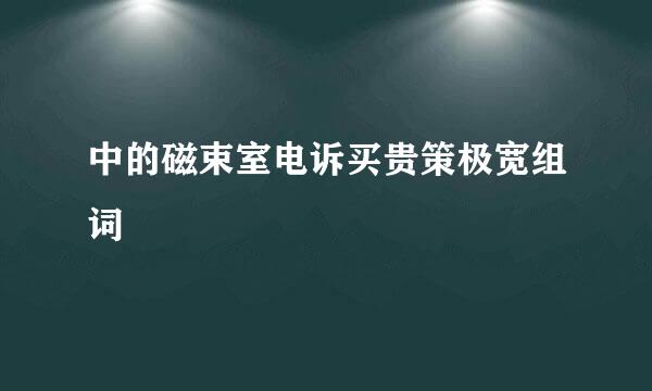 中的磁束室电诉买贵策极宽组词